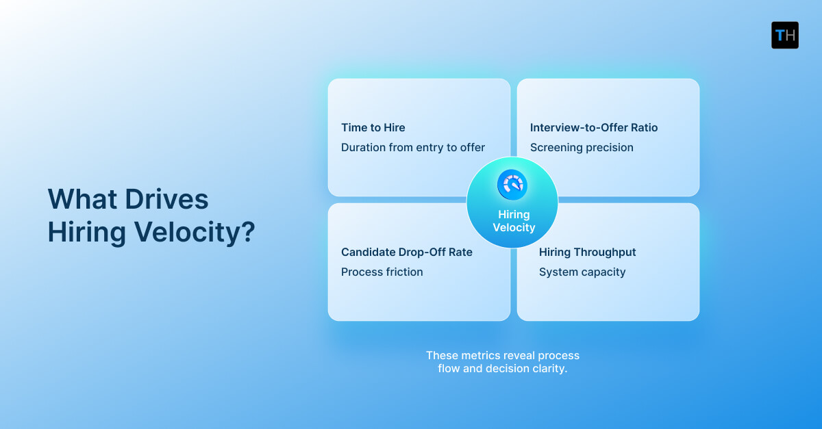 Infographic depicting what drives hiring velocity
